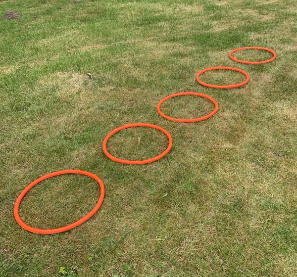 Agility træningsringe, 5 stk.